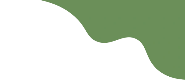 A green sign appears near areas served by Charleston Fishing Rentals for fishing equipment delivery Charleston SC.